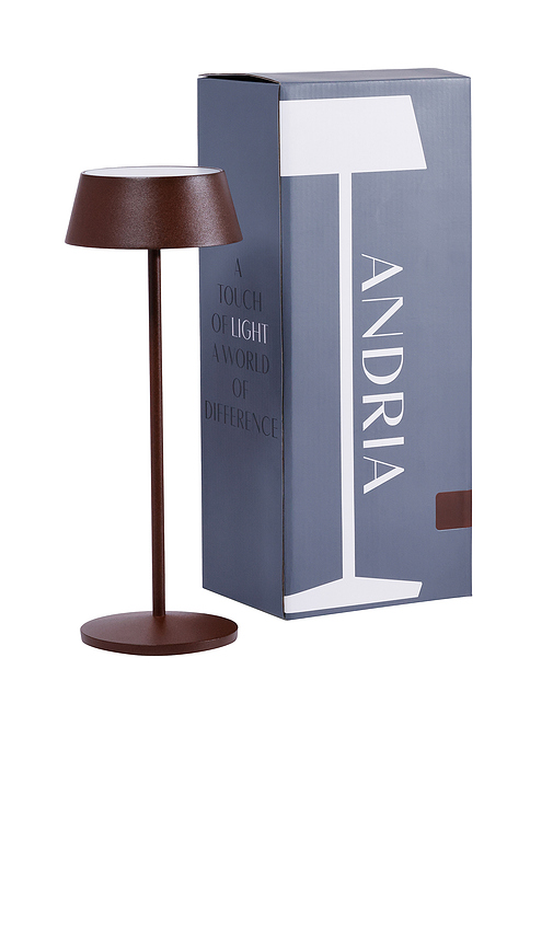 The Favorites Andria Rechargeable Table Light in Rust - Brown. a