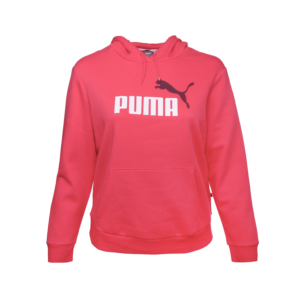 Essentials Logo Pullover Hoodie (Plus Size)