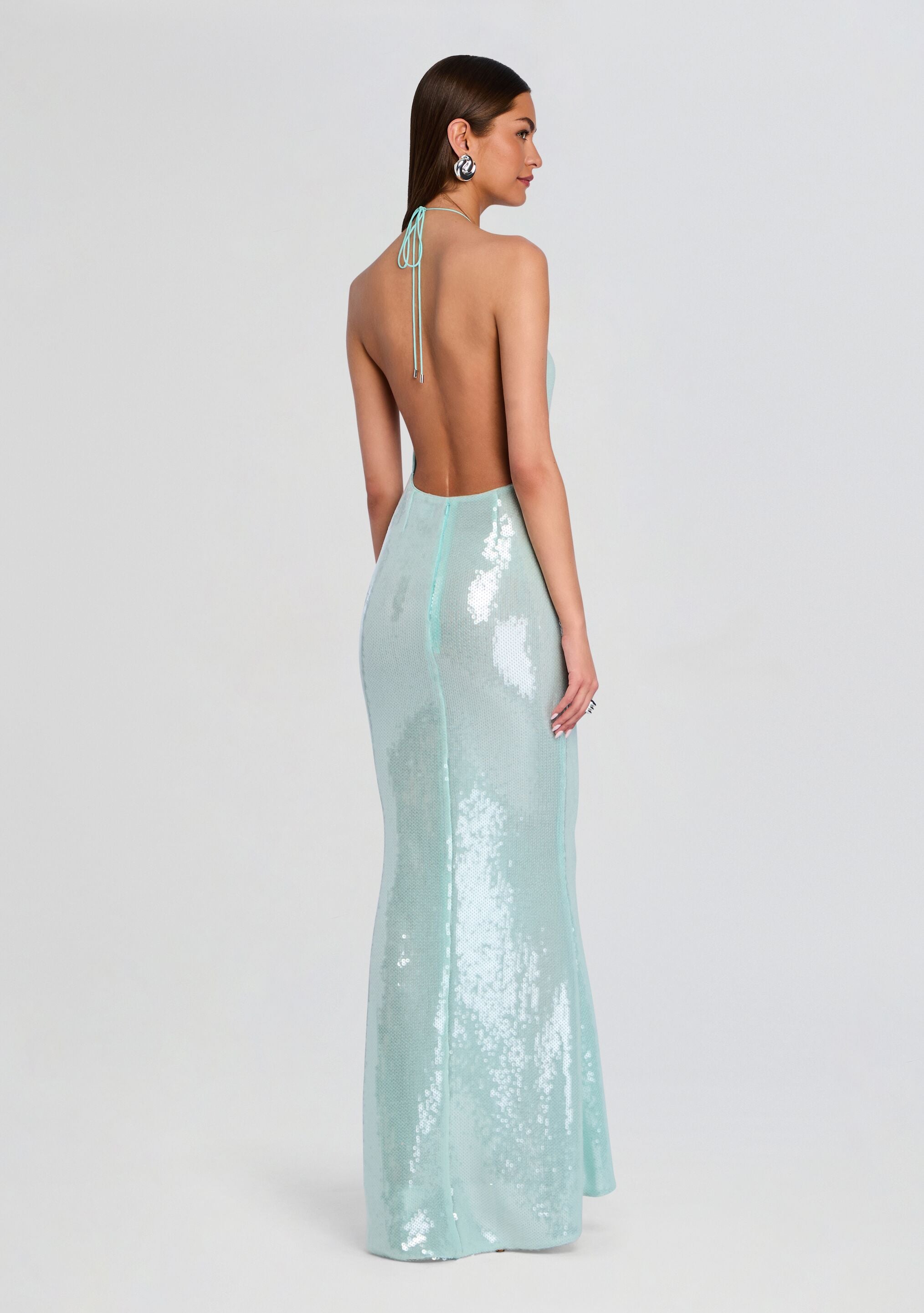 Elexa Sequin Dress