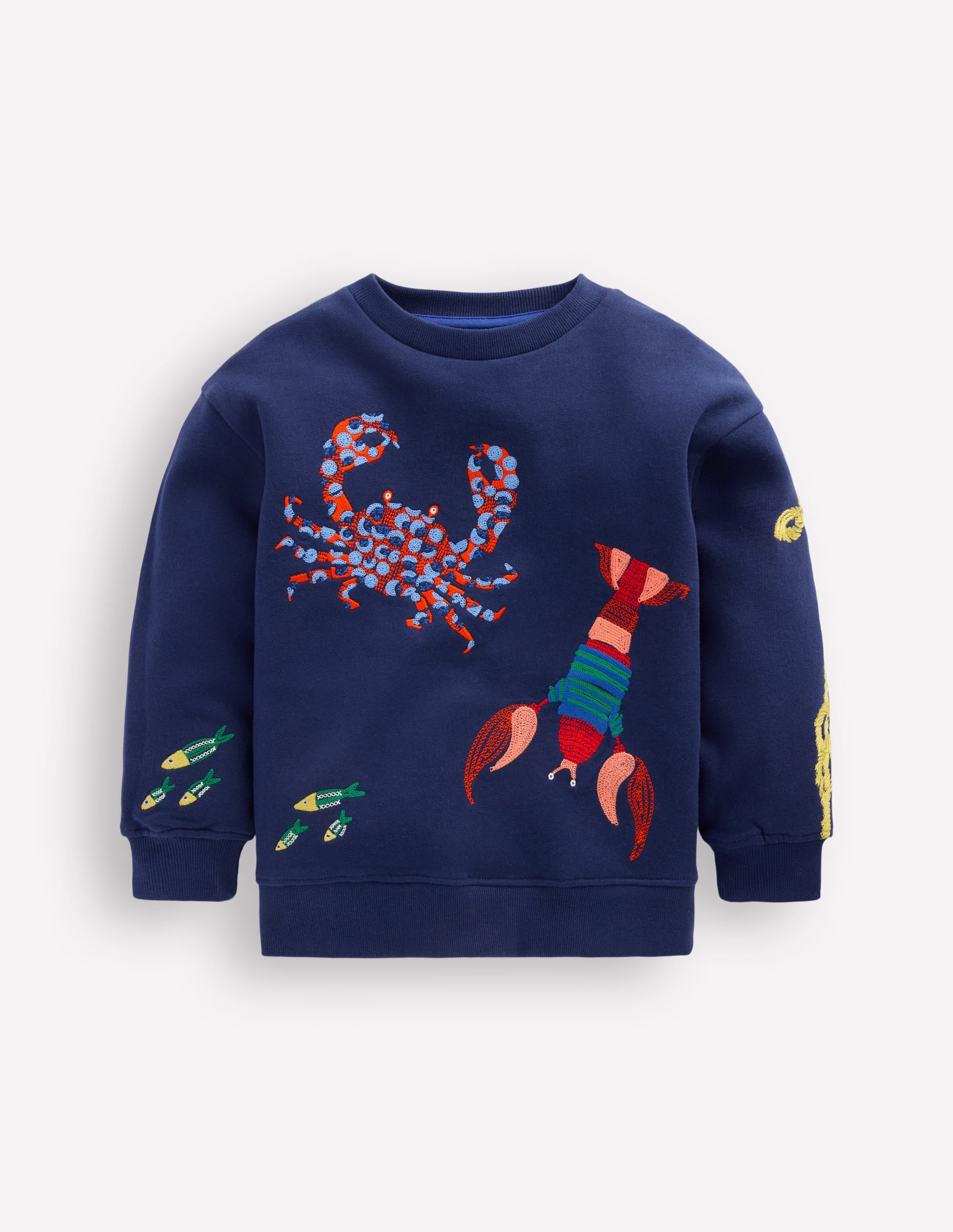 Boys Embroidered Sweatshirt in Blue | Size 2-3 Years