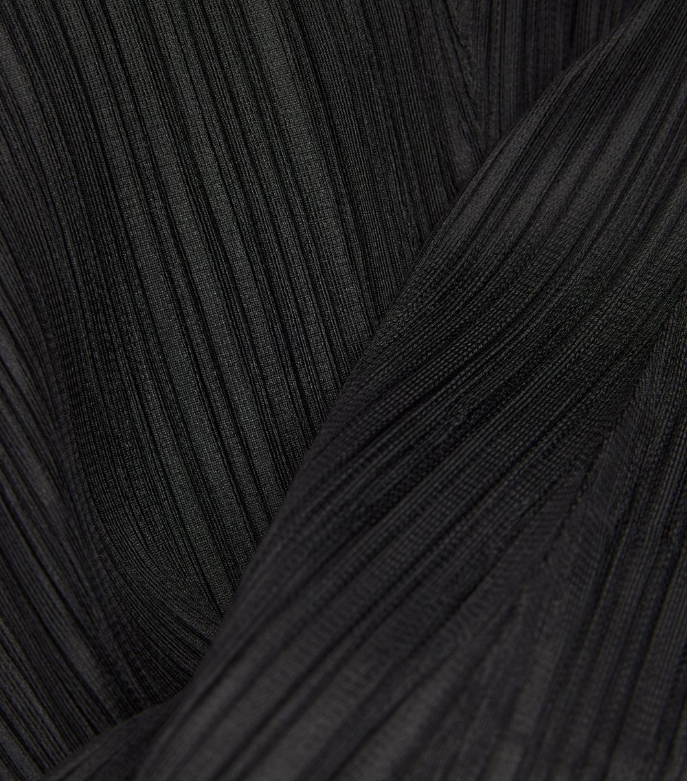 Pleated Wide Trousers