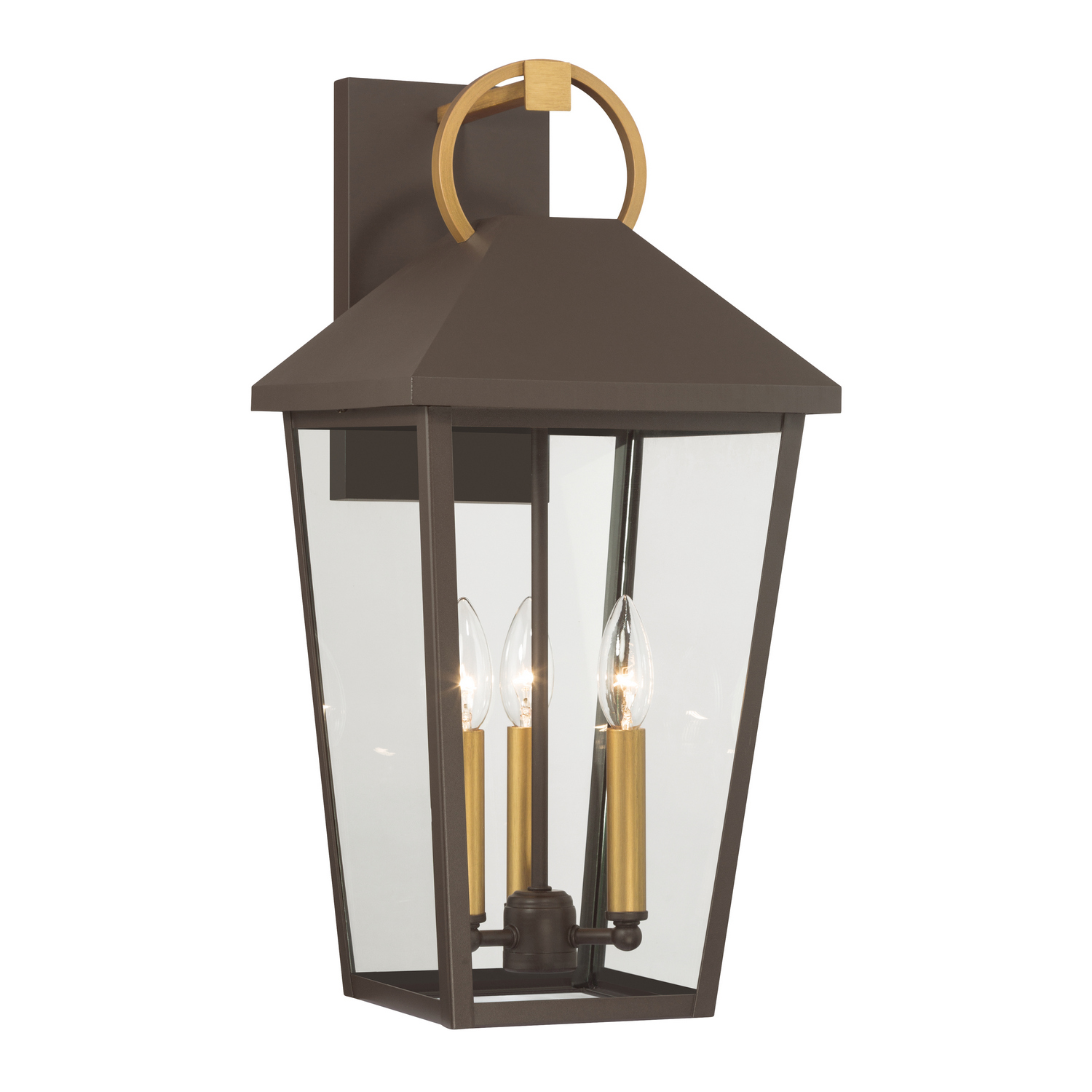 Painted Legacy Brass Outdoor Wall Lantern from the Bayra Collection