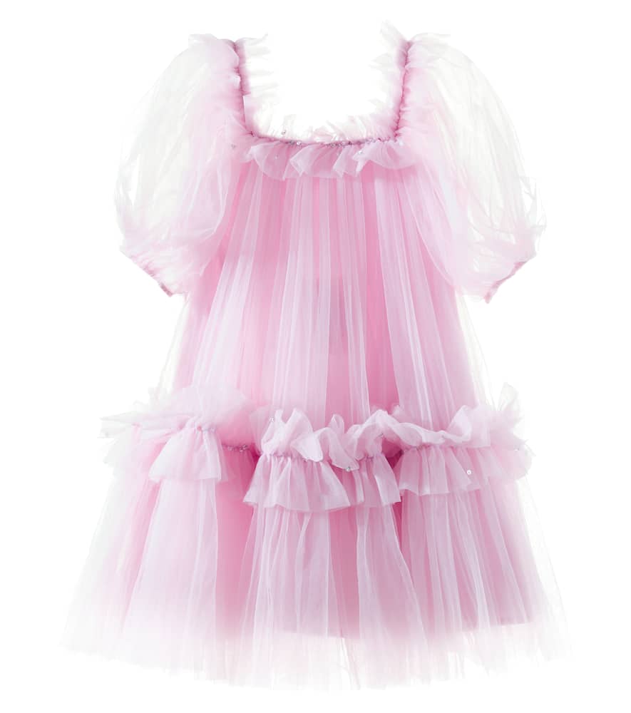 Fraisier embellished tulle dress