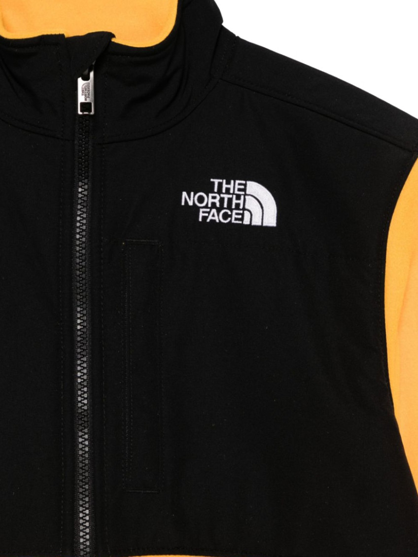 The North Face Teen Denali Jacket Summit Gold