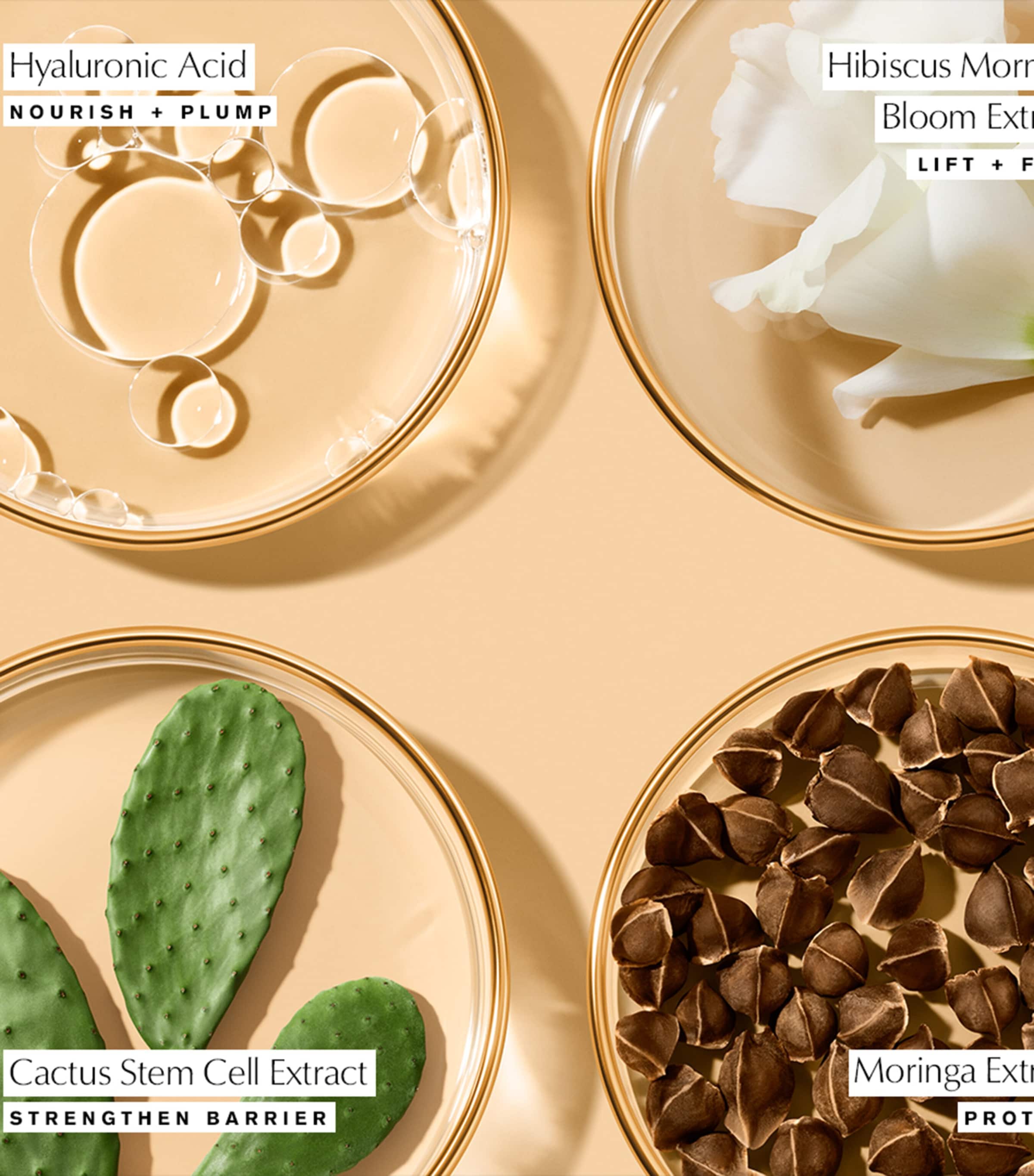 Revitalizing Supreme+ Youth Power Eye Balm