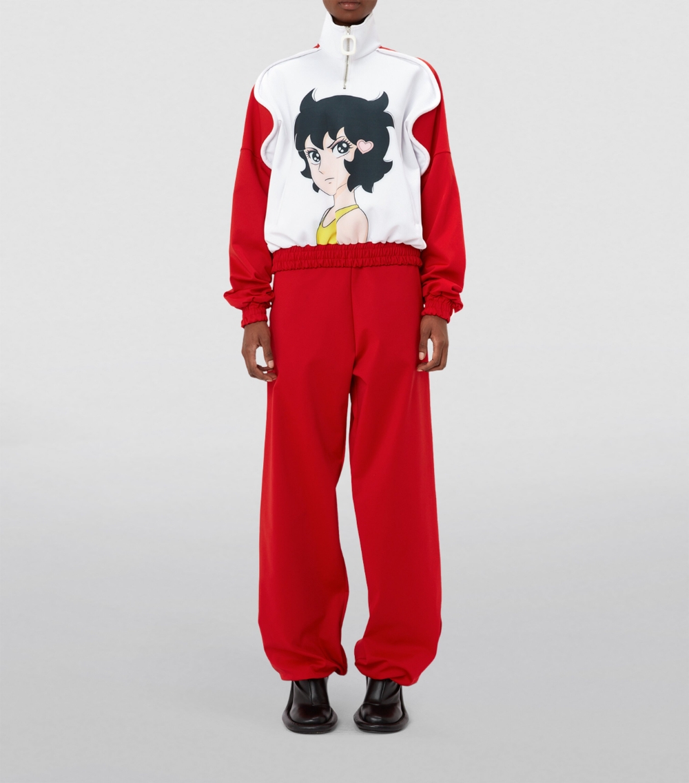 X Run Hany Half-Zip Sweatshirt