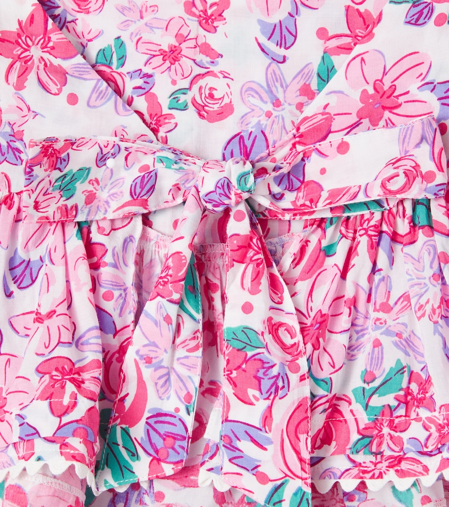 Cycas floral top
