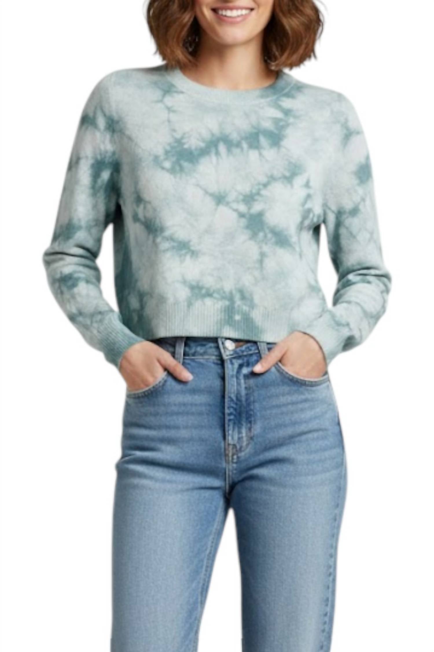Long Sleeve Crop Crewneck Top In Ice