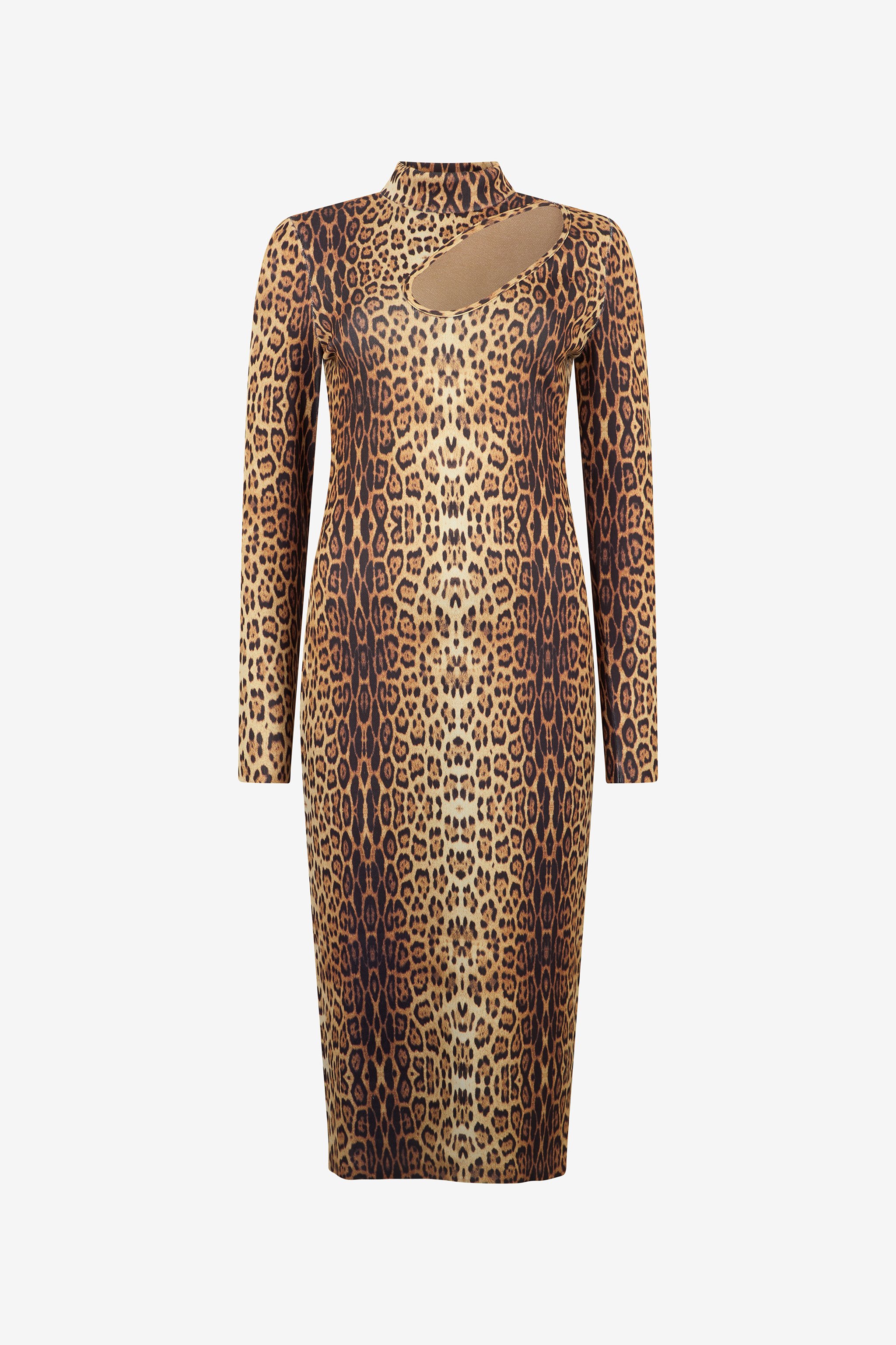 Leopard Print Midi Dress