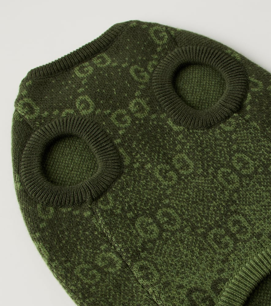 GG wool jacquard dog sweater