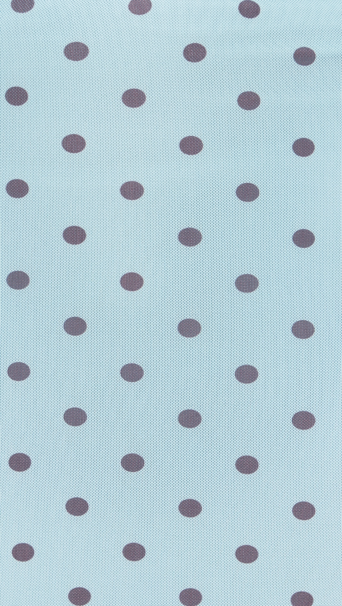 Polka Dot Mesh Maxi Skirt Blue/Brown