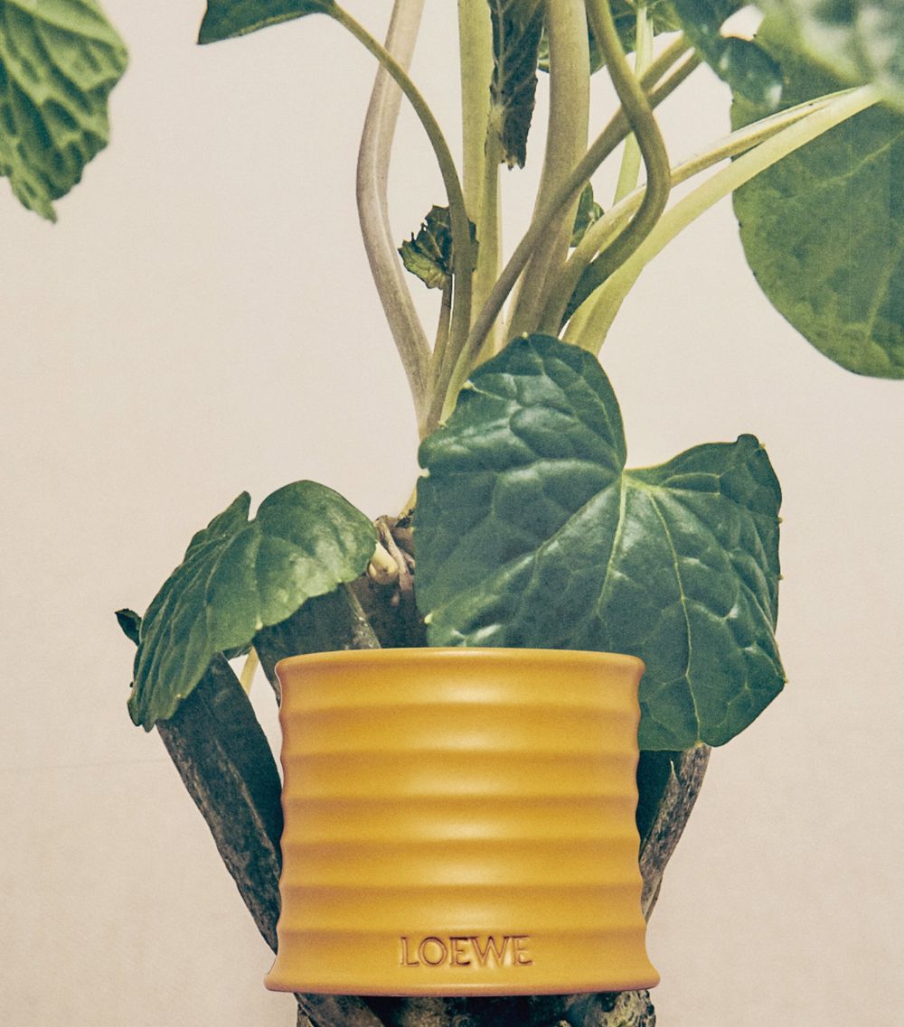 Small Wasabi Candle (170G)