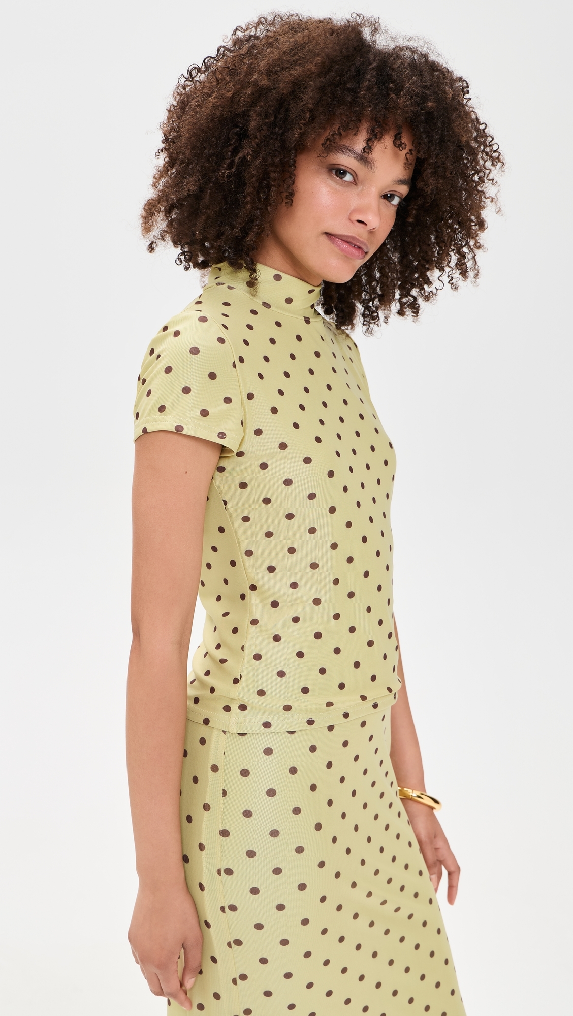 Polka Dot Mesh High Neck Top Pistachio/Brown