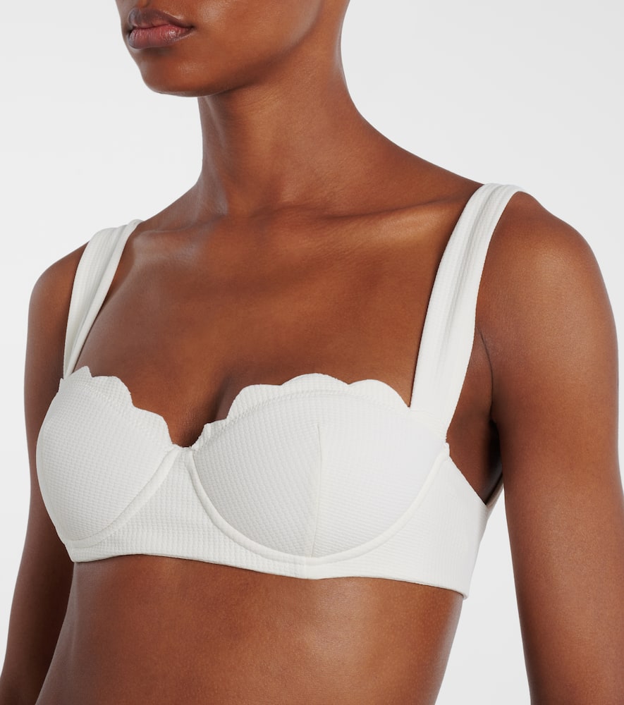 North scalloped bikini top