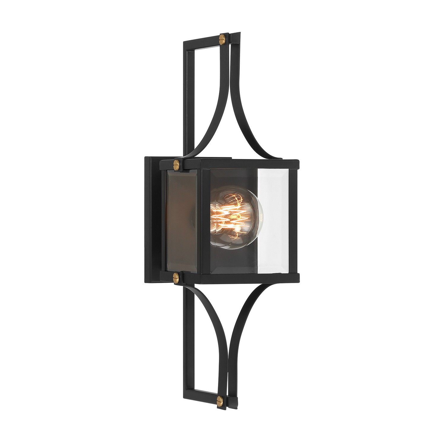 Raeburn 1-Light Outdoor Wall Lantern in Matte Black and Weathered Brushed Bra