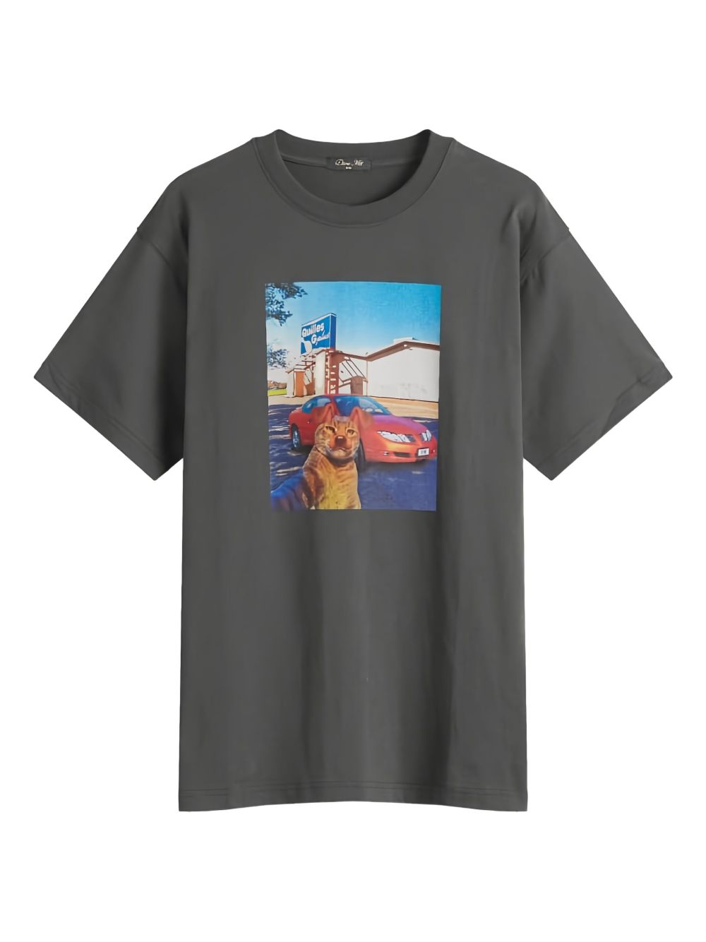 Dime Selfie T-shirt - Grey