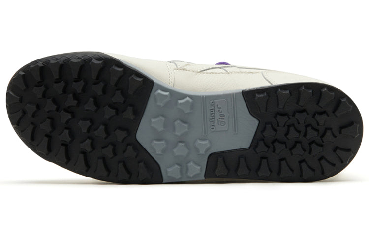Horizonia 'Grey Blue'