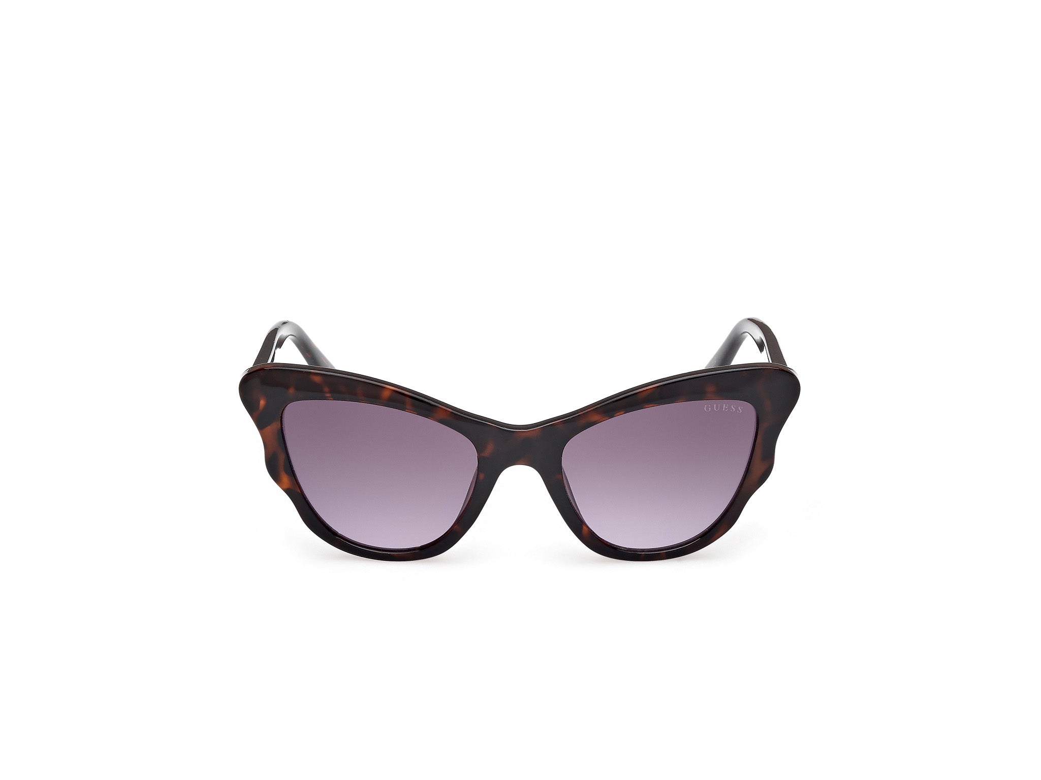 Guess Unisex Guess GU00228 52Z Gafas de sol Inyectado la Habana Violeta Cat Eye Norma