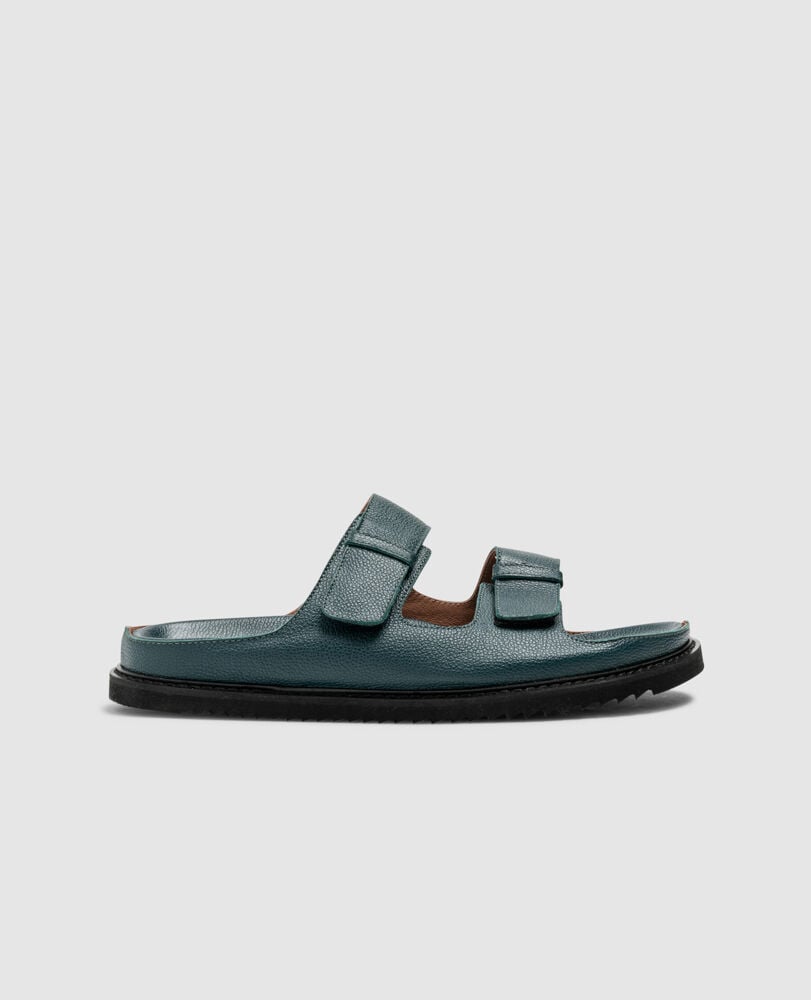 Palm Park Slide