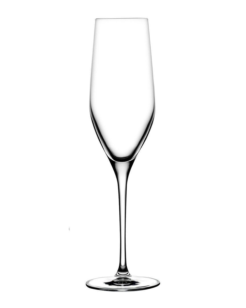 Vinifera Champagne Glasses (Set Of 2)