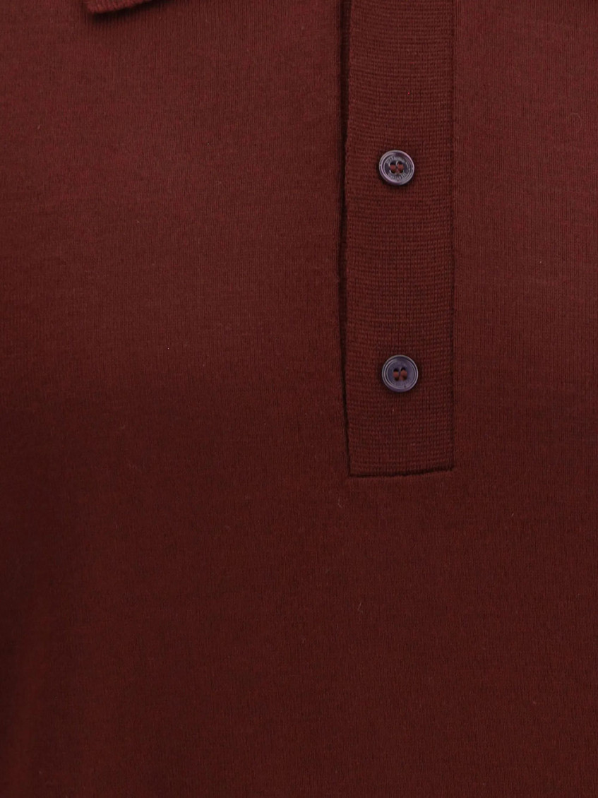 Maroon Shirt Collar Polo