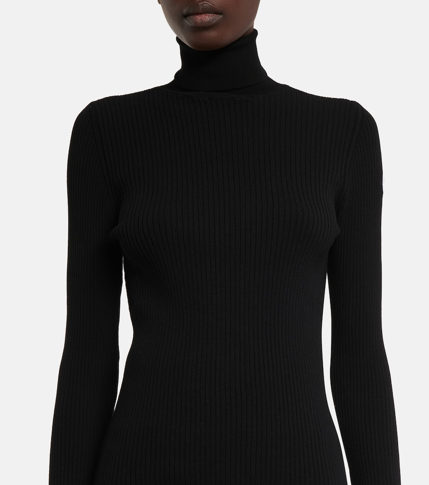 Ancelle turtleneck sweater