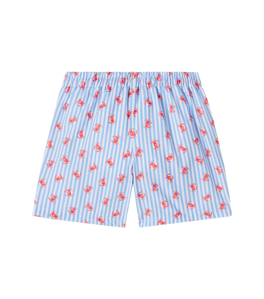 Bravo printed striped swim trunks
