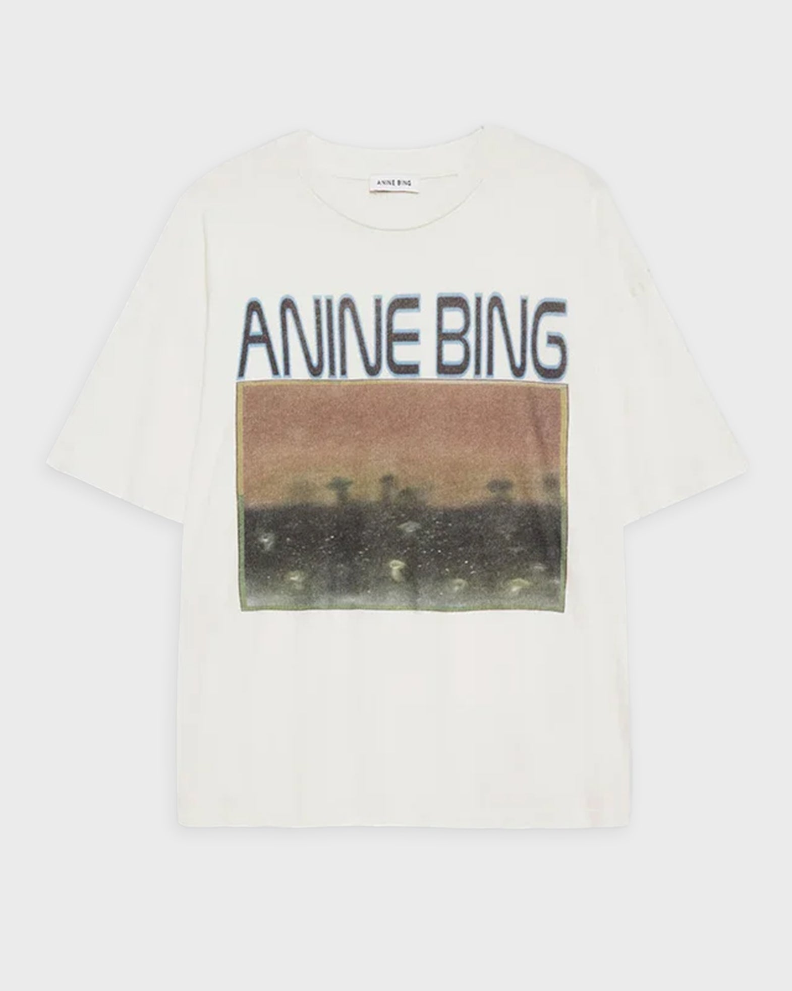 Anine Bing Cade Tee Mushrooms Offwhite