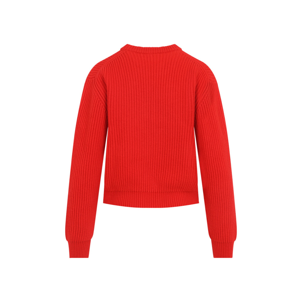 Red Knitted Crew Neck Sweater