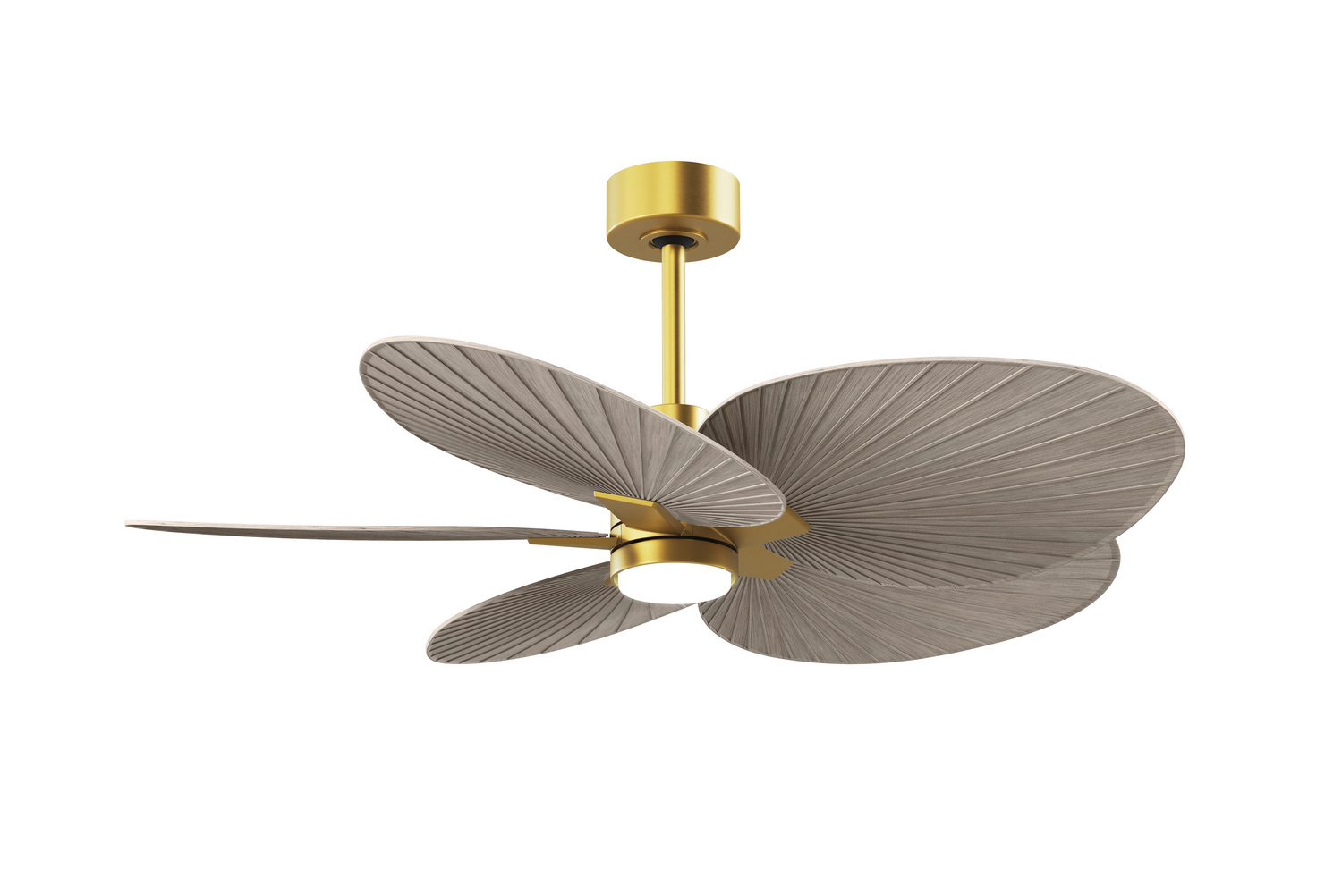 Brushed Brass 48" Ceiling Fan from the Alessandra Tropical - LK Collection