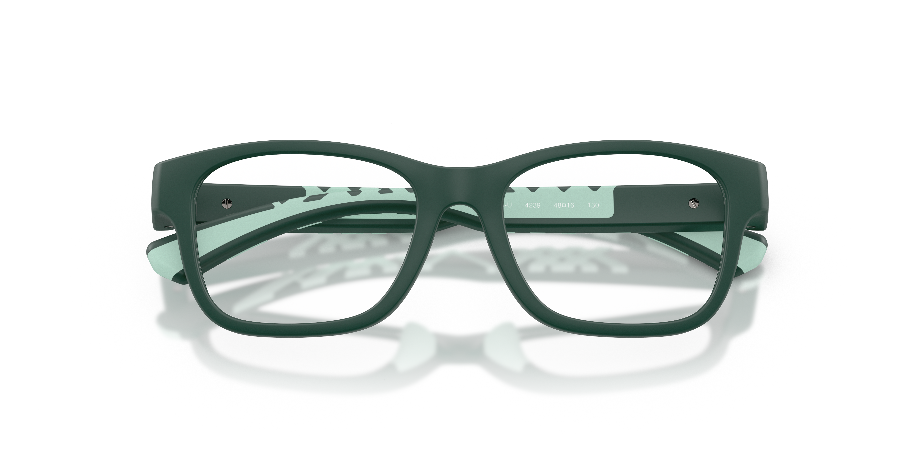 Burberry Kid Burberry JB2018U 4239 Optical frames Injected Green Transparent Squared Norma