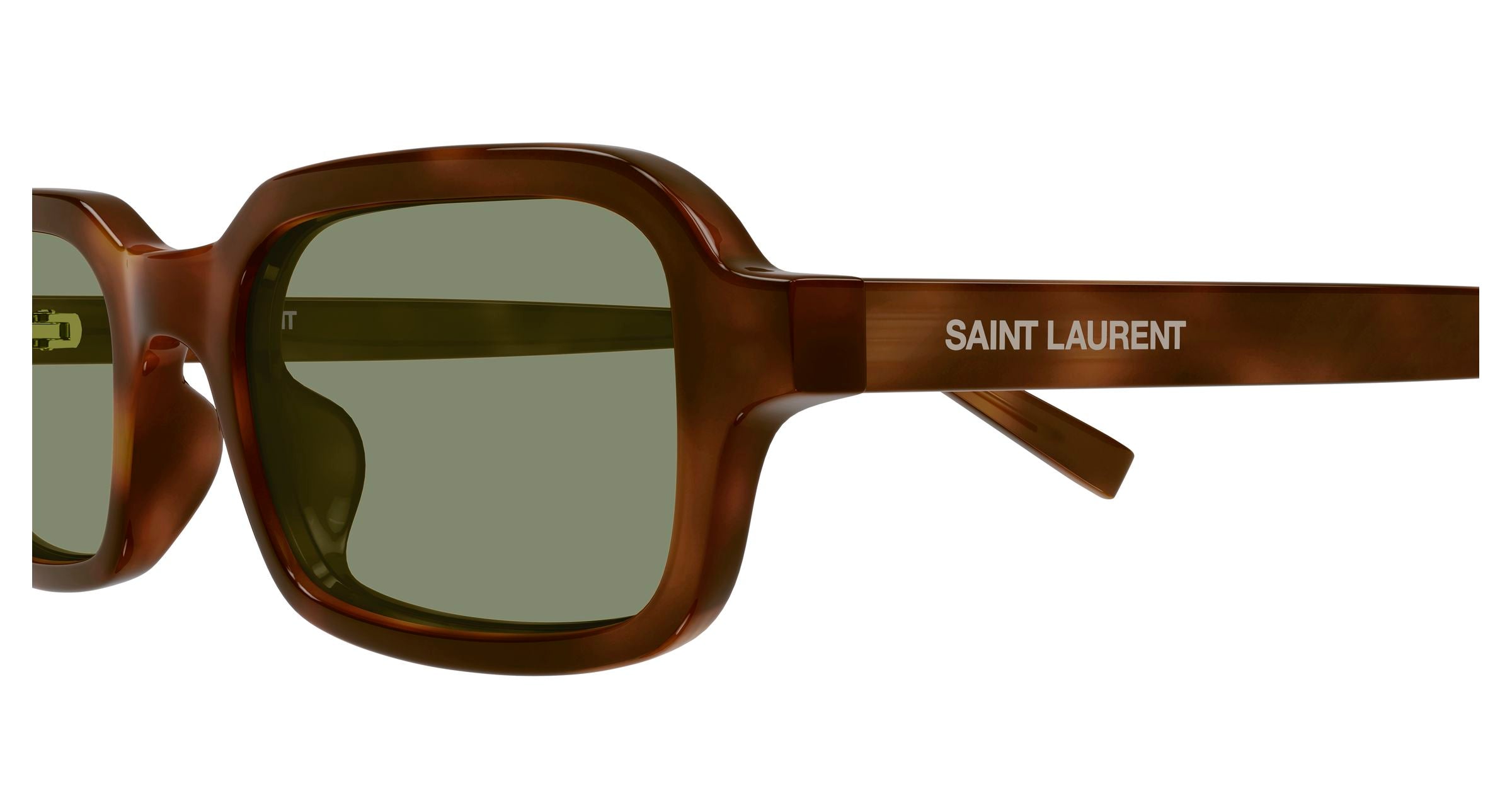 SAINT LAURENT Woman SAINT LAURENT SL 908 003 Sunglasses Acetate Havana Green Squared