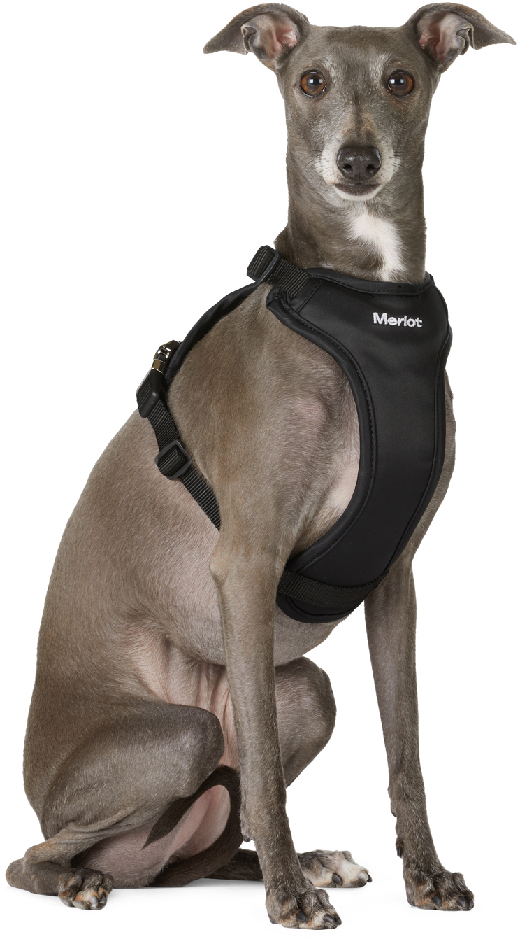 Black Ardo Dog Harness
