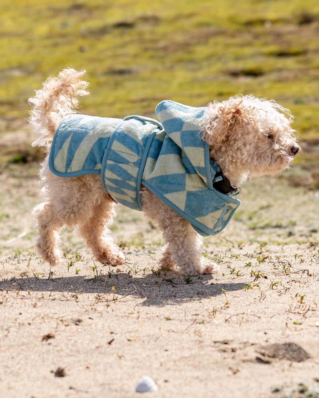Saltrock Warp Pet Towelling Robe in Light Blue