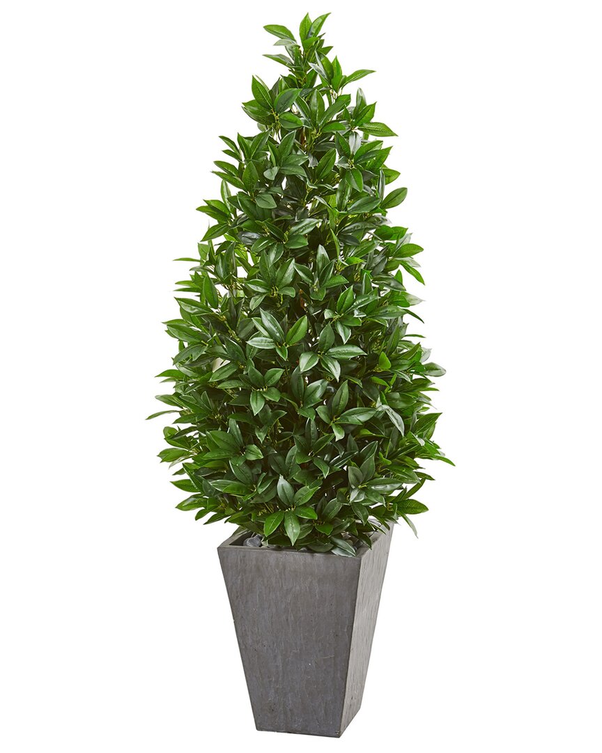 57In Bay Leaf Cone Uv-Resistant Topiary Tree In Planter (Indoor/Outdoor)