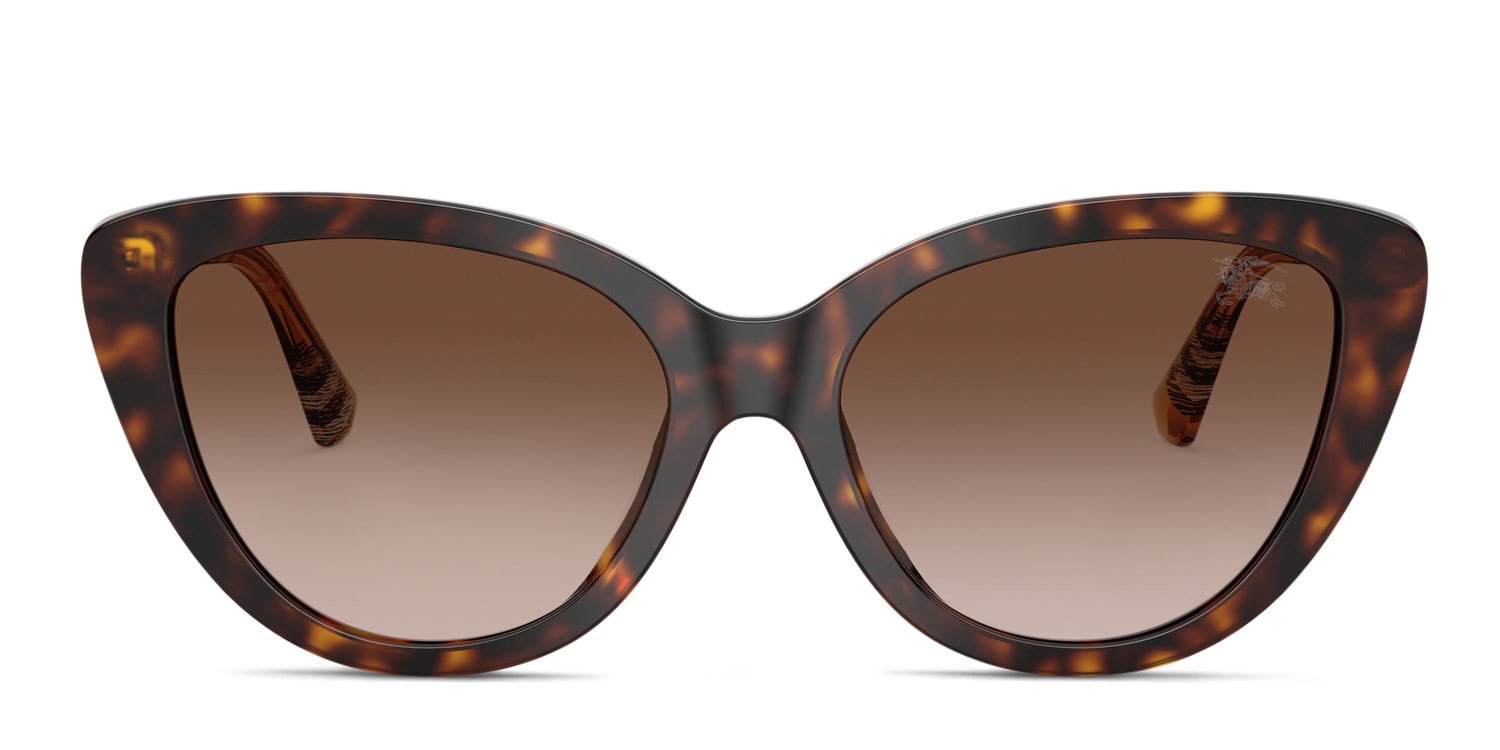 BE4457 Brown/Tortoise