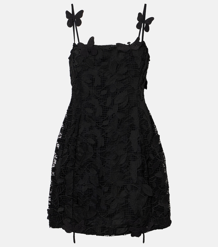 Embroidered lace minidress