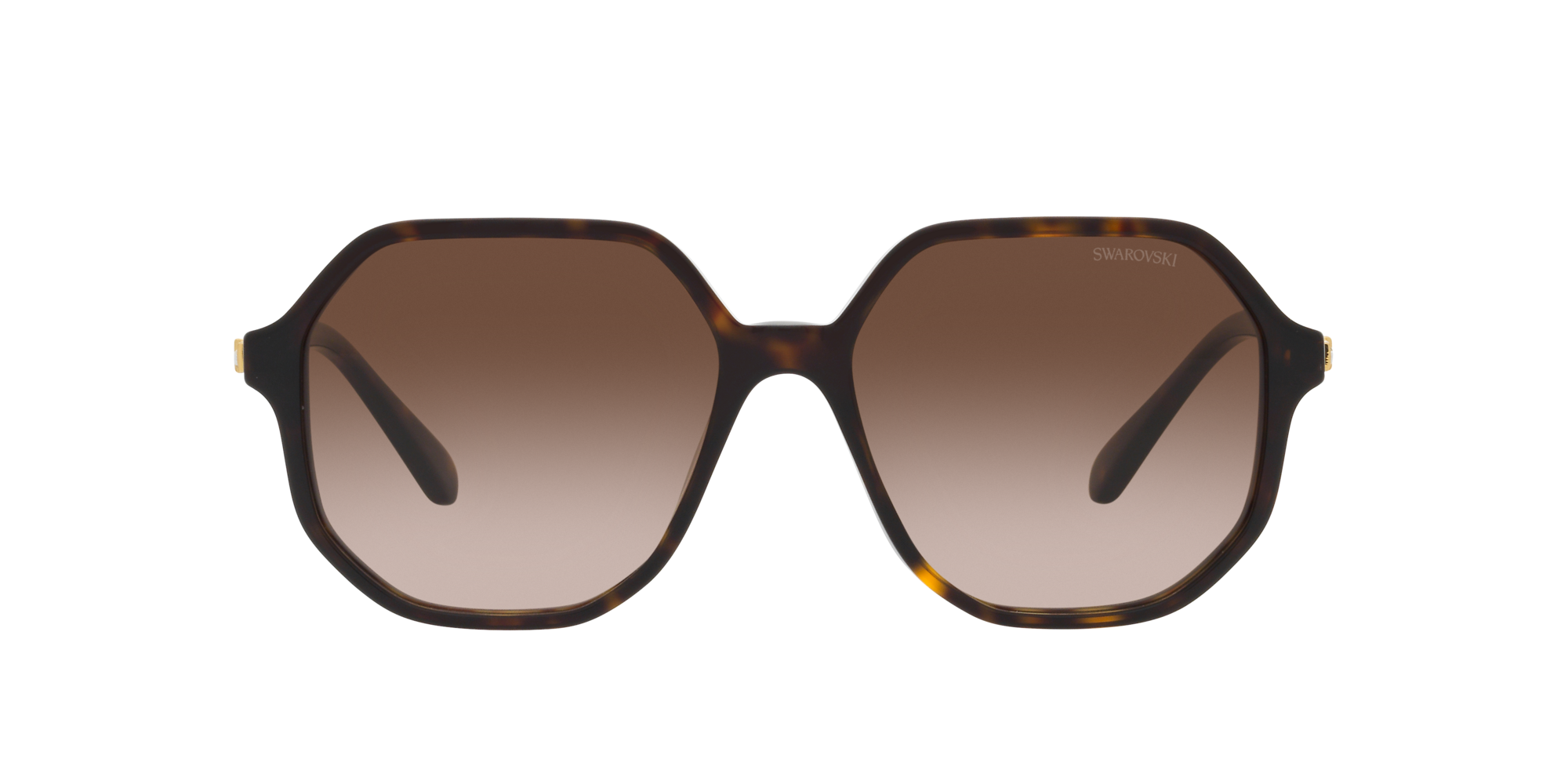 Swarovski Woman Swarovski SK6003 100213 Sunglasses Acetate Turtle Brown Geometric Normal Shaded