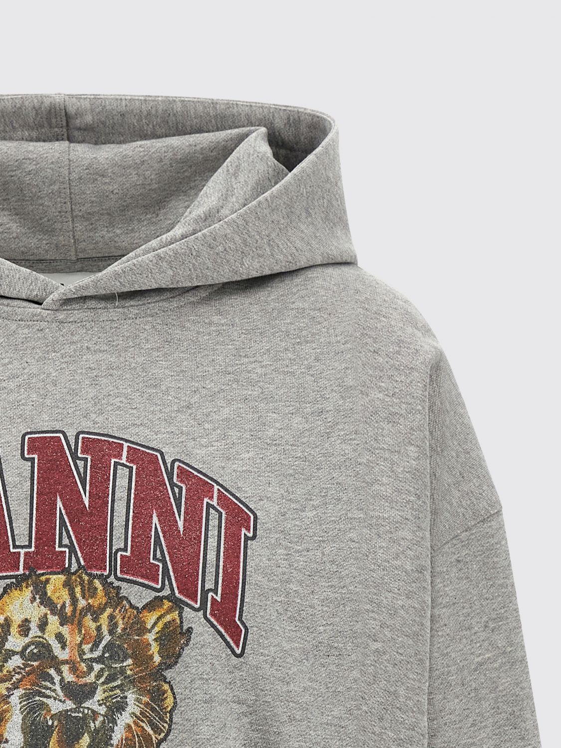 Sweatshirt Woman color Grey