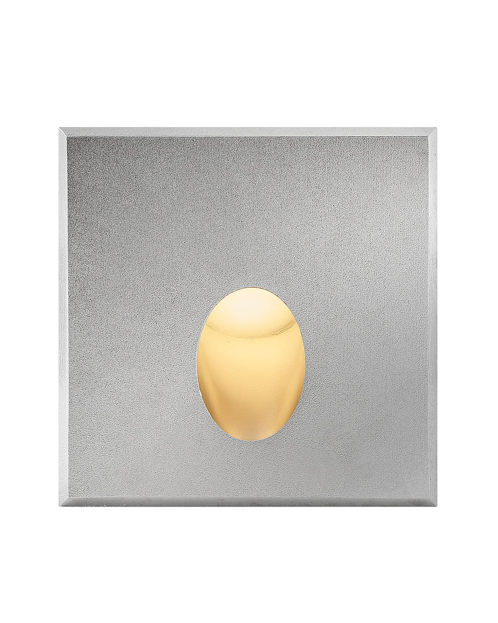 Stainless Steel LED Wall Mount from the Tilt Collection