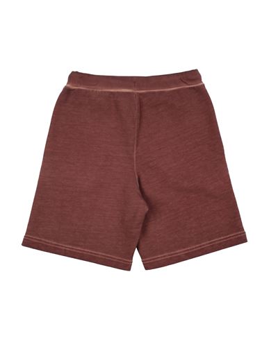 Kid Boy Shorts & Bermuda Shorts Chocolate brown Size 10 Cotton