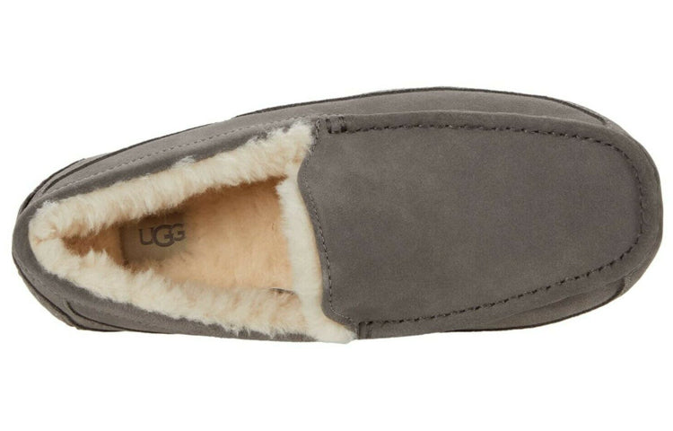 Ascot Slipper 'Grey'