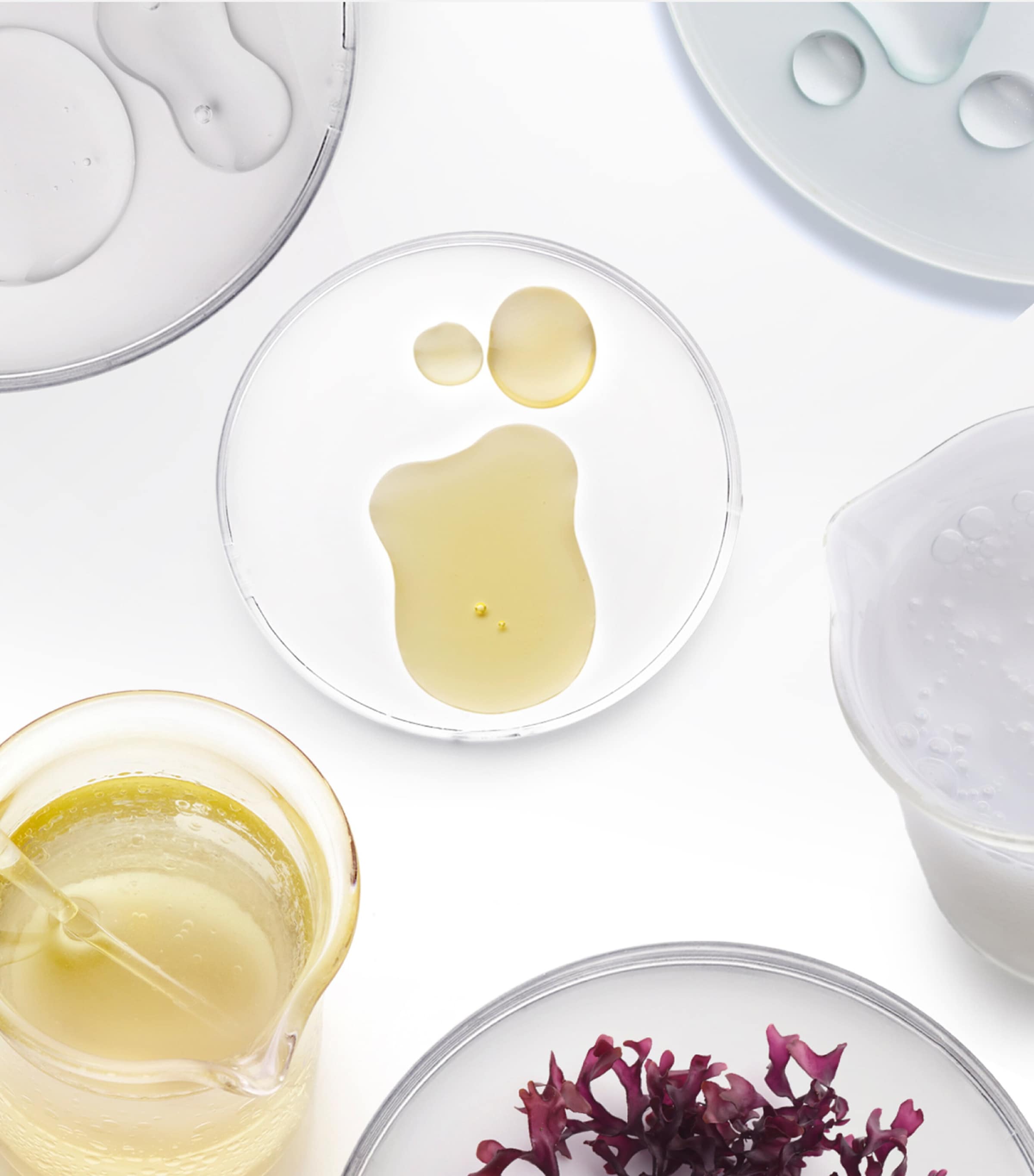 The Absolute Rejuvenation Night Balm
