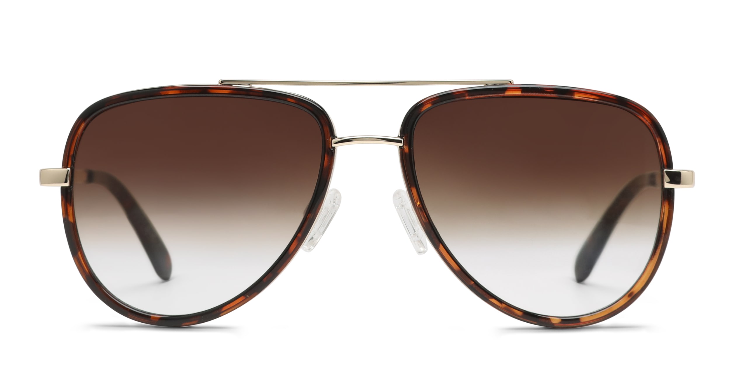 All In Tortoise