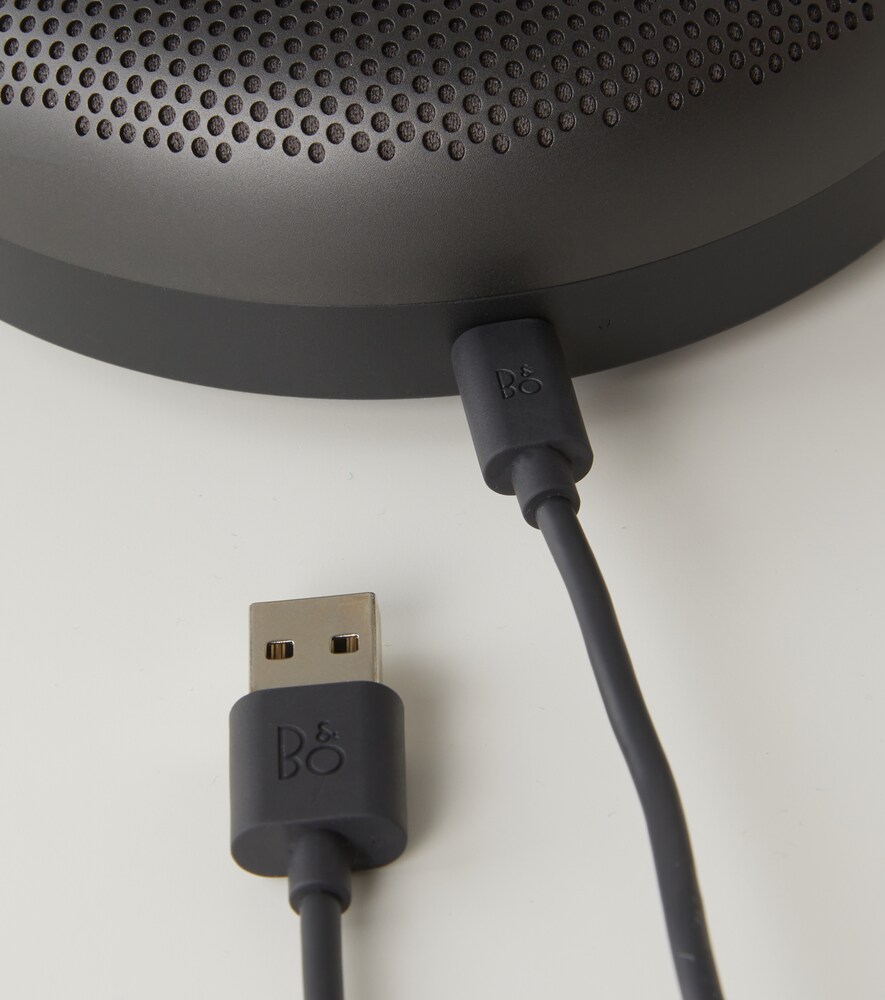 Bang & Olufsen Beosound A1 2nd Gen speaker