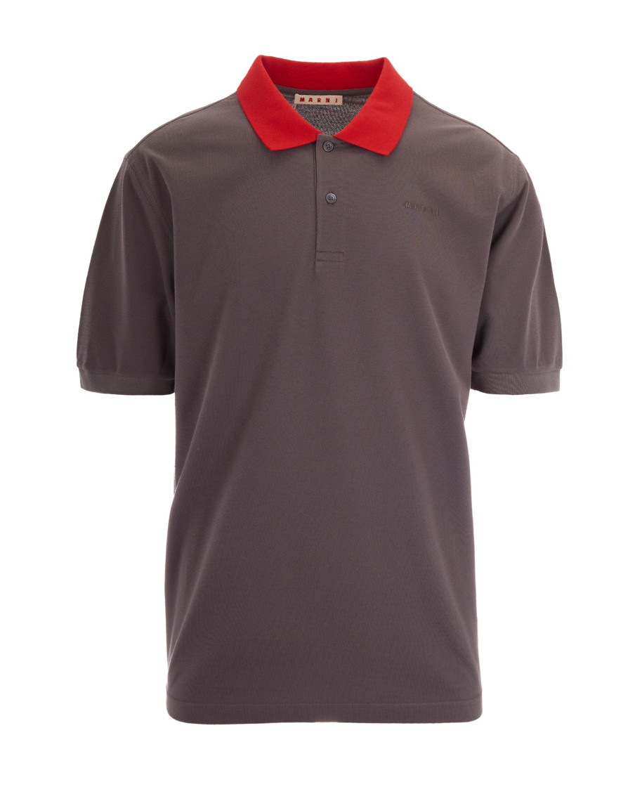 Brown Shirt Collar Polos