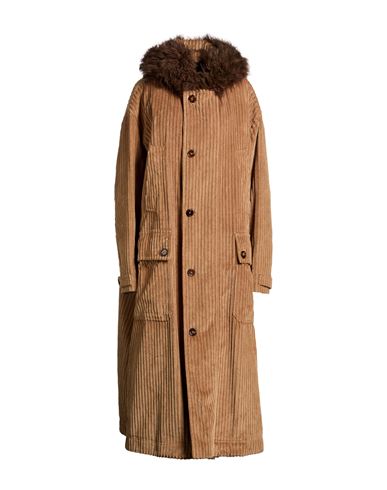 Woman Coat Camel Size 8 Cotton, Lambswool, Polyester