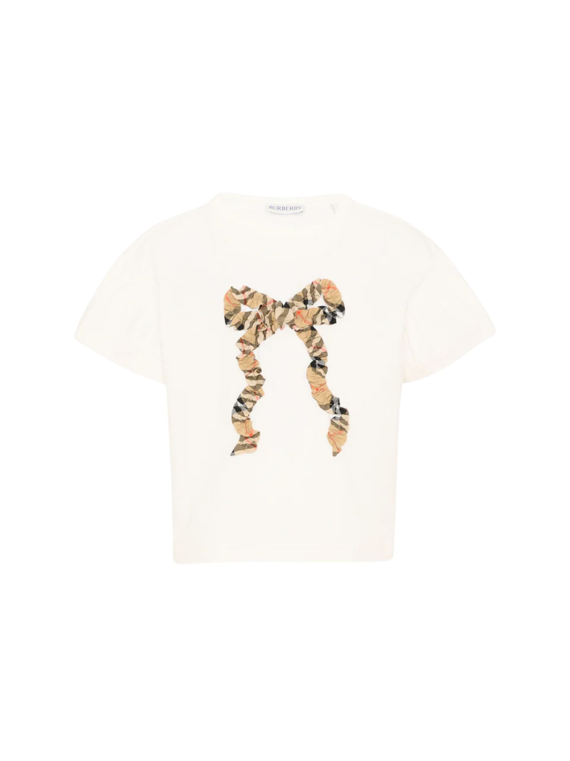 Boy's 100% Cotton T-Shirt