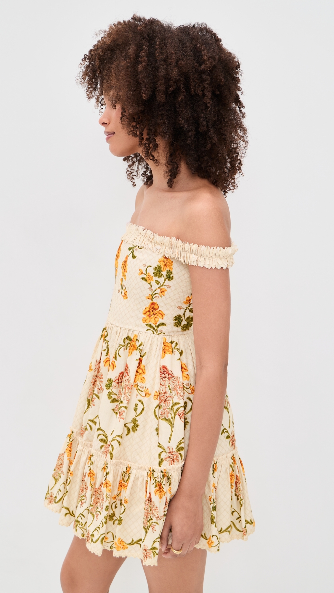 Boreal Cordillera Dress Multicolor