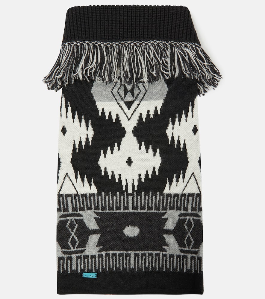 X Poldo Dog Couture Icon dog sweater